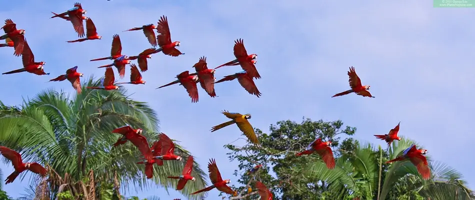 Eco Jungle 04 5 days 4 nights