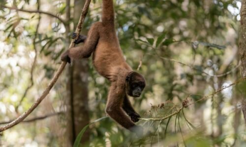 Full-day Adventure Tour