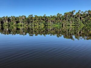 Tour Full Day Lago Sandoval