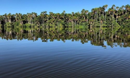 Tour Full Day Lago Sandoval