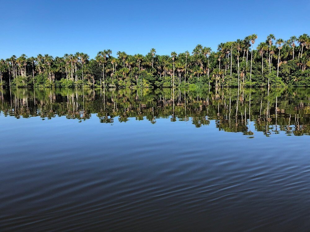 Tour Full Day Lago Sandoval